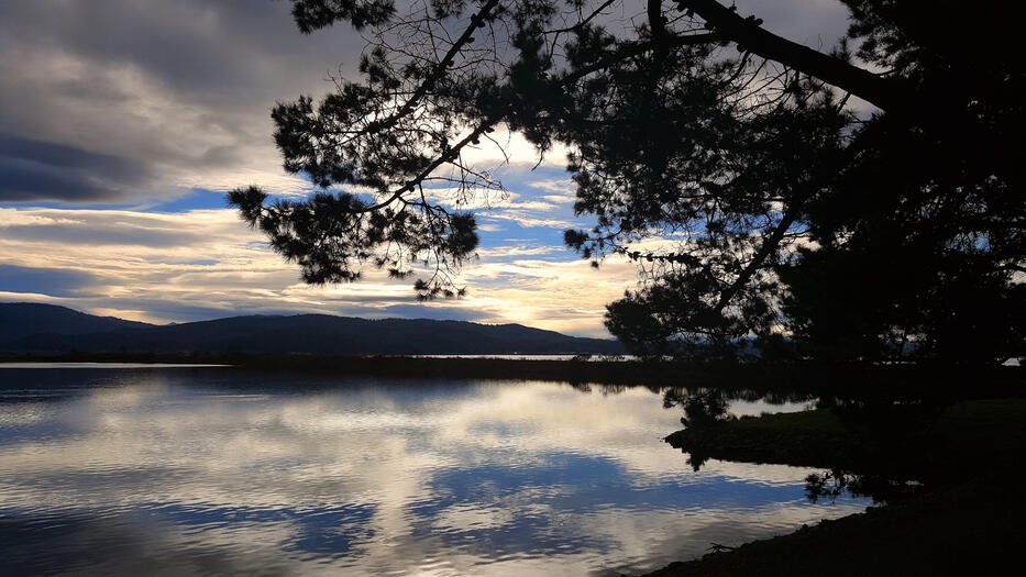 City of Arcata - Marsh &amp; Wildlife Sanctuary